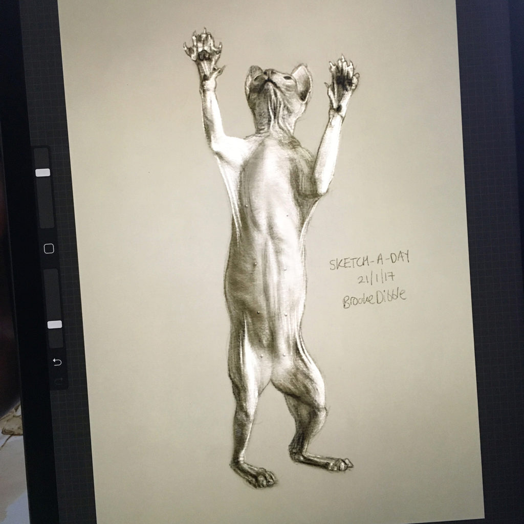 iPad Pro sketch by Brooke Dibble in Procreate app based on photo ref by photographer Alicia Rius