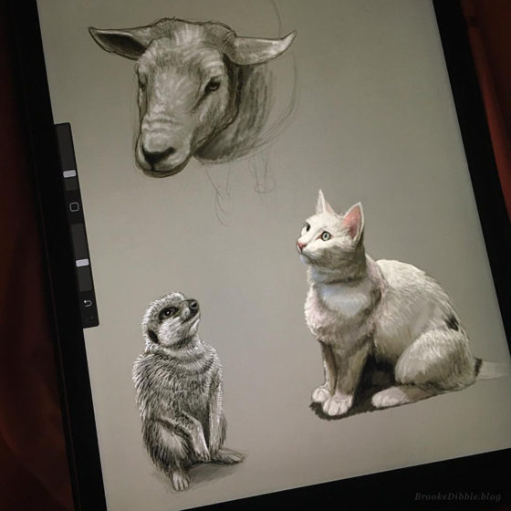 Sketch-a-Day quick sketch studies of animals (based on own photo refs) on the iPad Pro using Procreate app