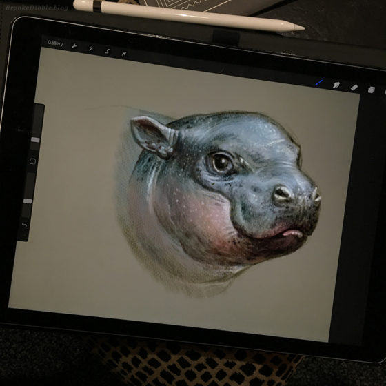 Hippo study sketch on iPad Pro