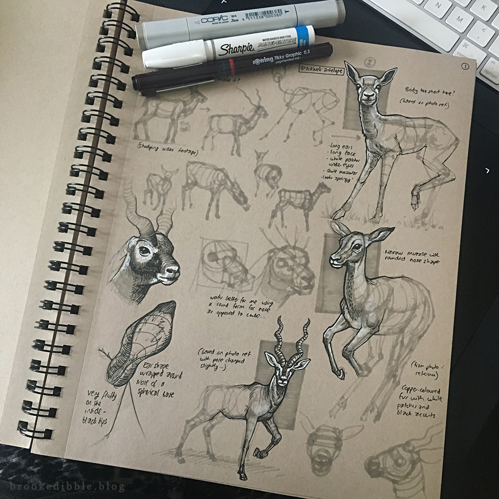Quick study sketches in pen on toned tan paper of antelopes and gerenuks