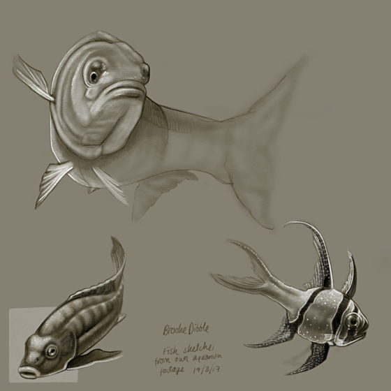 iPad Pro sketches of fish and reptiles 19th March '17