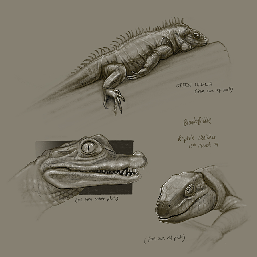 iPad Pro sketches of fish and reptiles 19th March '17
